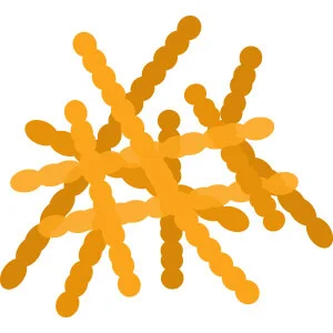 LeanBiome Inulin Prebiotic Fiber