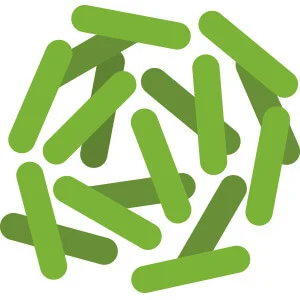LeanBiome Lactobacillus Rhamnosus